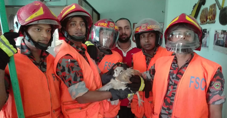 আটকে গেল ৫০ বছরের প্যাঁচা, উদ্ধার করল দমকল বাহিনী