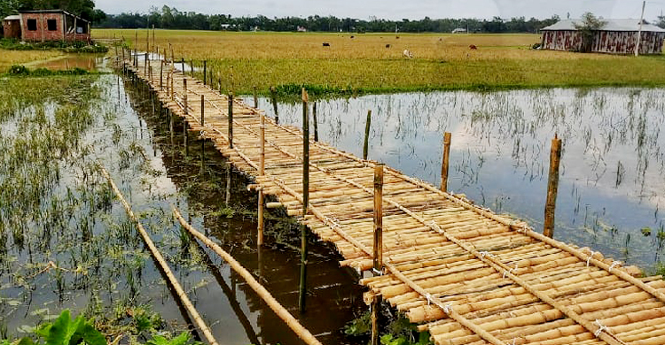 মসজিদে যেতে বাঁশের সাঁকো বানালেন মুসল্লিরা