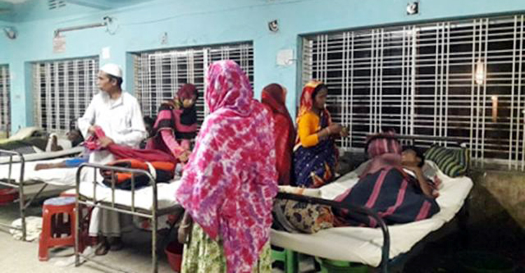 মৌমাছির আক্রমণে ৬ জন হাসপাতালে