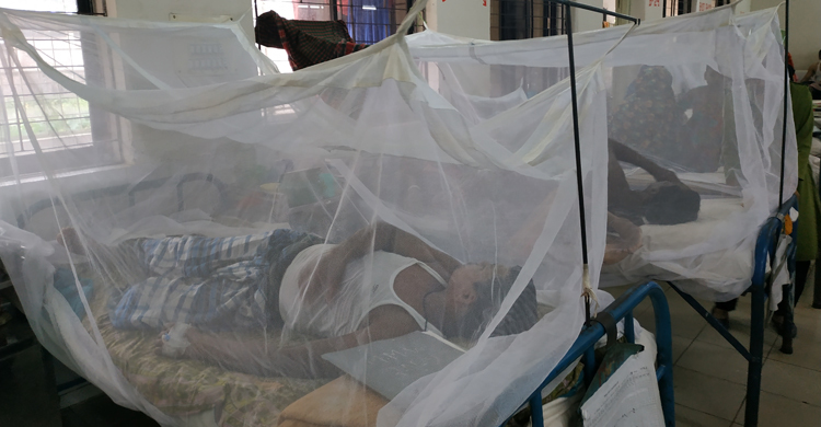 পটুয়াখালীতে ডেঙ্গুর পরীক্ষা বন্ধ!