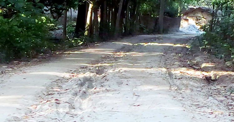 রাস্তার ৫০ হাজার ইট তুলে বিক্রি করে দিলেন আ.লীগ নেতা