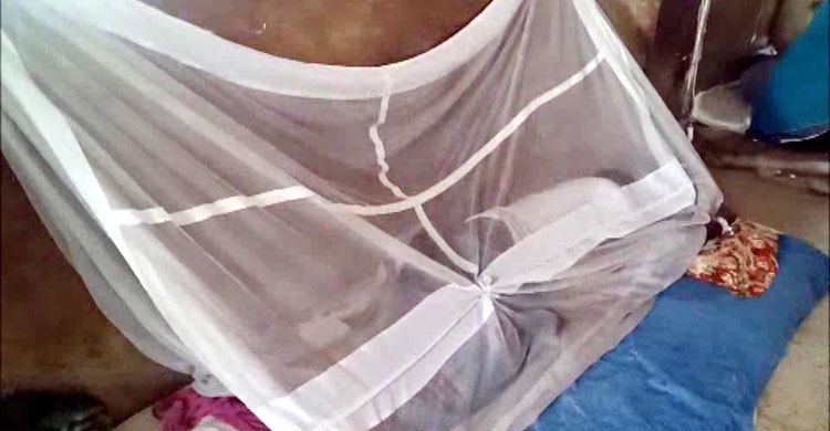 শেরপুর জেলা হাসপাতালে ৩ ডেঙ্গু রোগী শনাক্ত