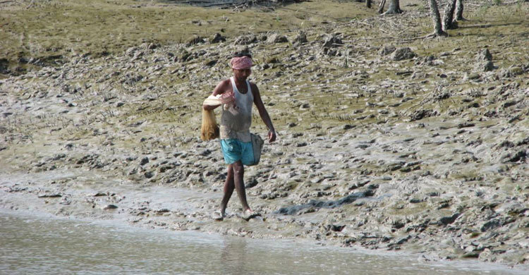 Fishermen decry Sundarbans fishing ban
