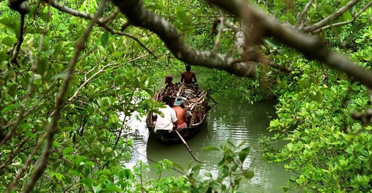 সুন্দরবনে সাত জেলেকে অপহরণ