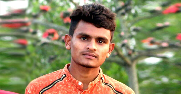 চুরি হওয়া মোবাইল ভাইয়ের প্রেমিকার কাছে, দ্বন্দ্বে ভাইকে খুন