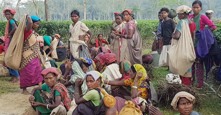 তারা যেন ডিজিটাল যুগের ক্রীতদাস