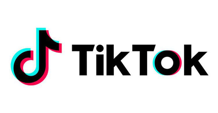 Google blocks TikTok in India following court order