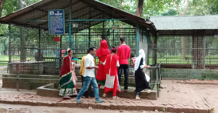 ঈদের তৃতীয় দিনে ভিড় ছিল না চিড়িয়াখানায়