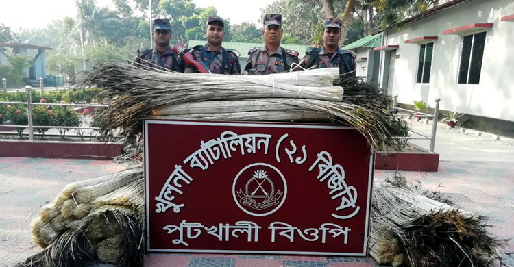 বেনাপোলে ময়ূরের পাখাসহ ৫ লাখ টাকার ভারতীয় পণ্য জব্দ