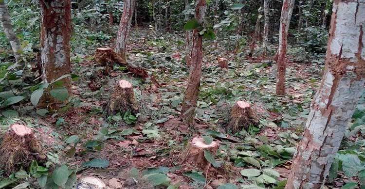 ‘এক মিনিটের মধ্যে না গেলে মেরে ফেলব’