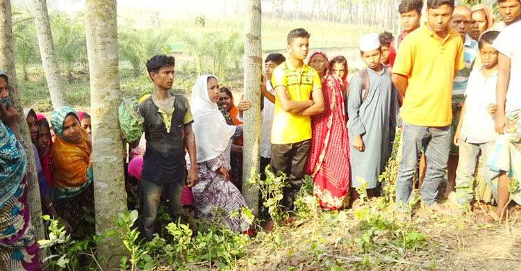 তিন জেলায় গুলিতে নিহত ৩