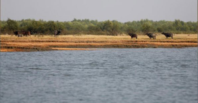 UN draws up plans to ‘facilitate’ Rohingya relocation to Bhashan Char