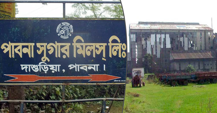 পাবনা সুগার মিলে পড়ে আছে ৩১ কোটি টাকার চিনি