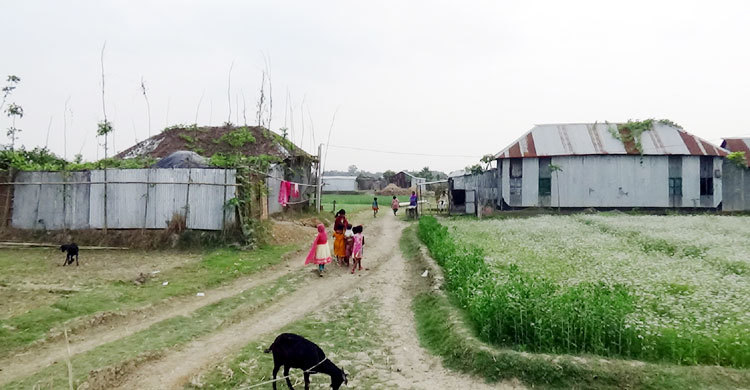 রাজবাড়ীতে ফসলি জমিতে বসতি বাড়ছে