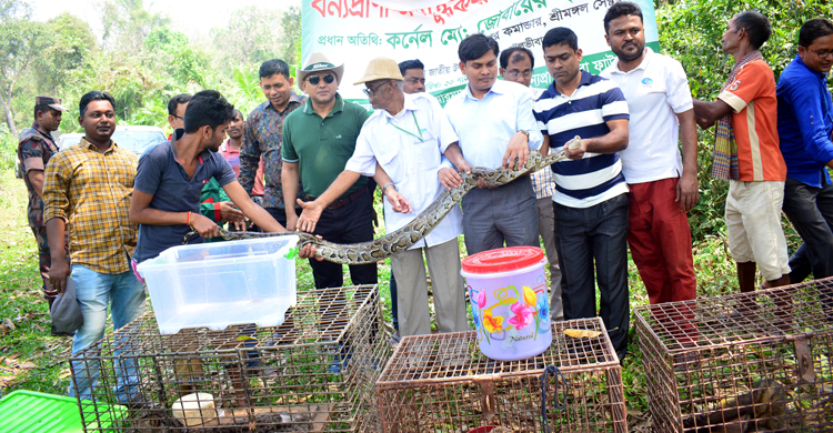 স্বাধীনতা দিবসে মুক্তি পেল ১১ বন্যপ্রাণি