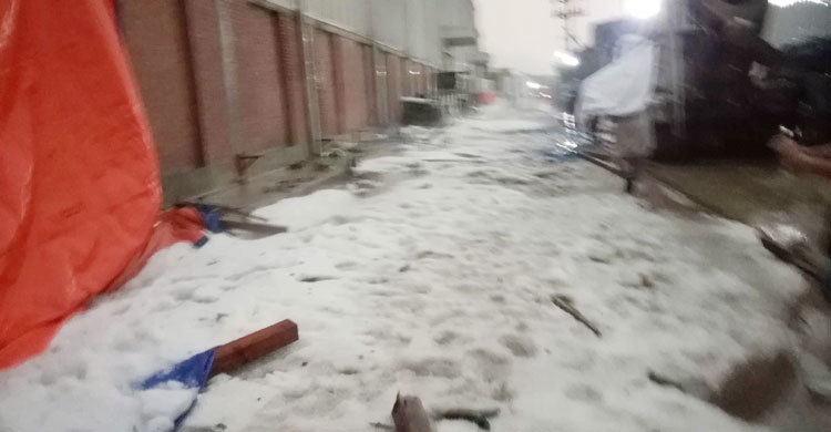 শ্রীপুরে ঝড় ও শিলাবৃষ্টিতে ব্যাপক ক্ষতি