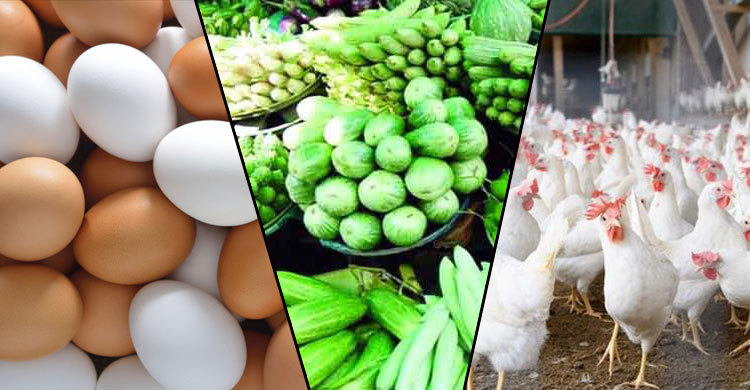 নতুন সবজি, ডিম ও মুরগির দামে অস্বস্তি