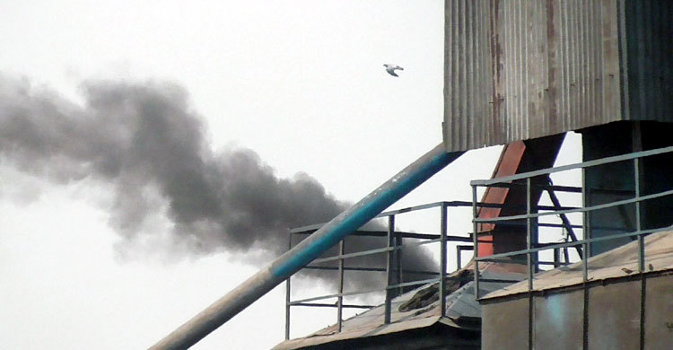 রাইস মিলের ধোঁয়া ও ছাইয়ে অতিষ্ঠ এলাকাবাসী
