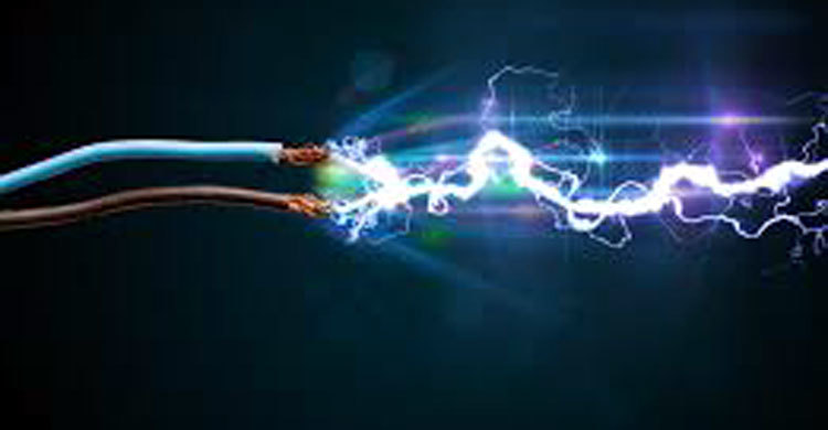 ইঁদুর মারার ফাঁদে প্রাণ গেল সাবেক পুলিশ সদস্যের