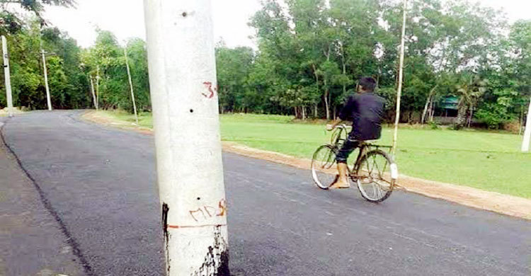 Remove electricity poles from roads: HC