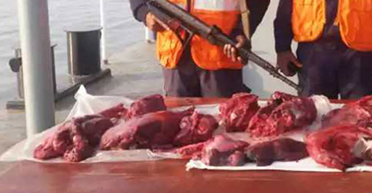 সুন্দরবনে ২৫ কেজি হরিণের মাংস উদ্ধার