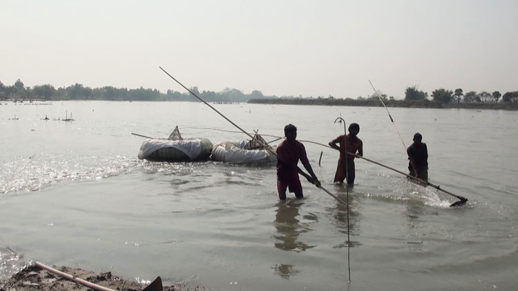 Panchagarh-Cold-Wave-(1)