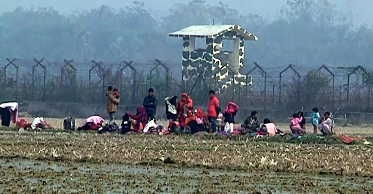 অবশেষে ৩১ রোহিঙ্গাকে ফিরিয়ে নিল বিএসএফ