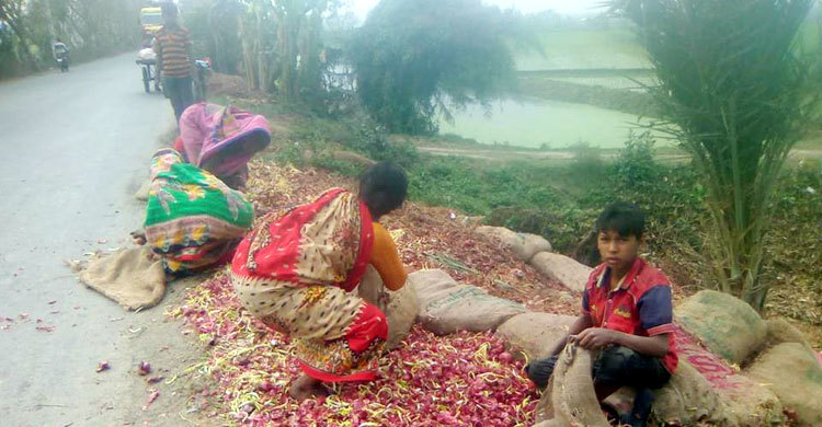 আমরা গরিব মানুষ