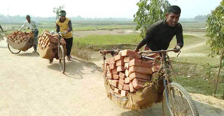 জীবিকার উৎস যখন বাইসাইকেল