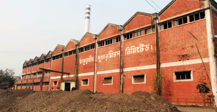 বকেয়া ১০ কোটি টাকা না পেয়ে চাষিরা দিশেহারা