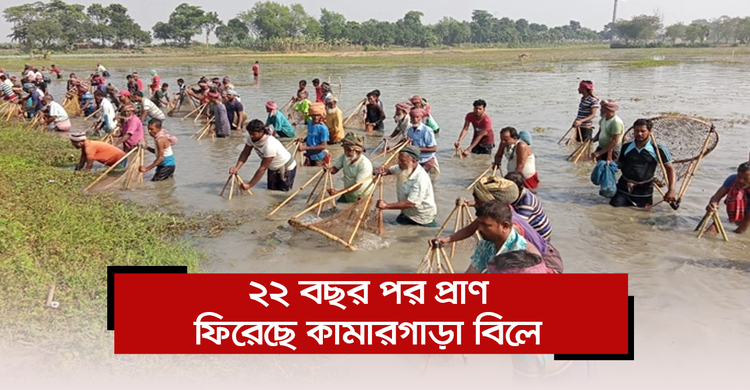 ২২ বছর পর প্রাণ ফিরেছে কামারগাড়া বিলে | ০১ ডিসেম্বর ২০২০