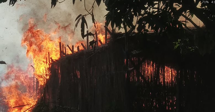 ৯ কৃষকের দুই কোটি টাকার পানের বরজ পুড়ে ছাই