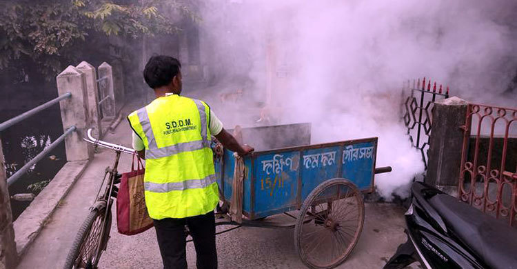 ঢাকার পর কলকাতায় ডেঙ্গুর ছোবল