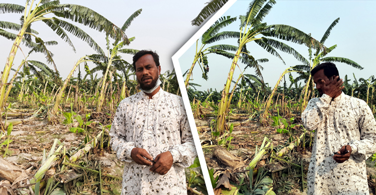 কান্না দিয়ে বছর শুরু দেশসেরা চাষি ‘কুল ময়েজের’