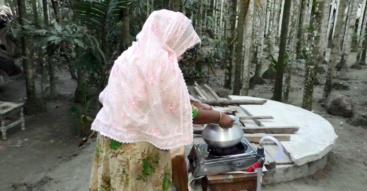 শখের খামারে বায়োগ্যাস উৎপাদন করে তাক লাগিয়েছেন সাত্তার