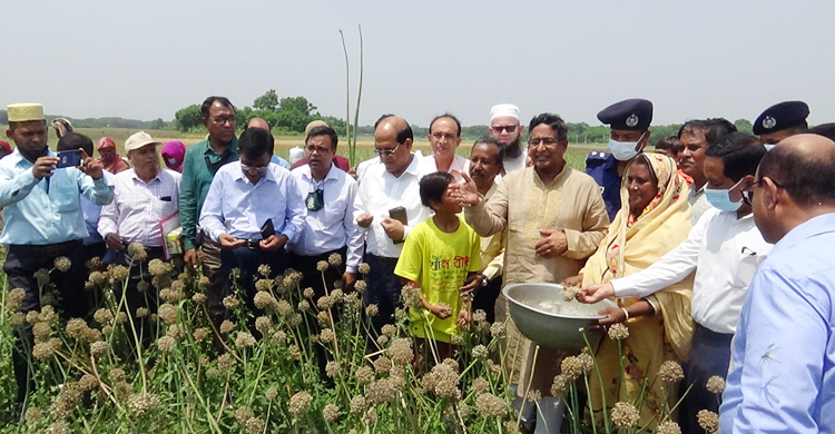 দাম কমলে কৃষক ক্ষতিগ্রস্ত হন, বাড়লে ক্রেতারা নাখোশ: কৃষিমন্ত্রী