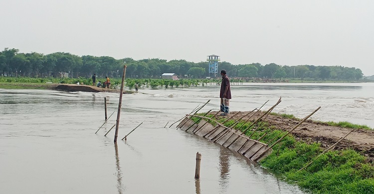 পাহাড়ি নদীর পানিতে ডুবলো হাওরের ২০০ হেক্টর জমির ধান