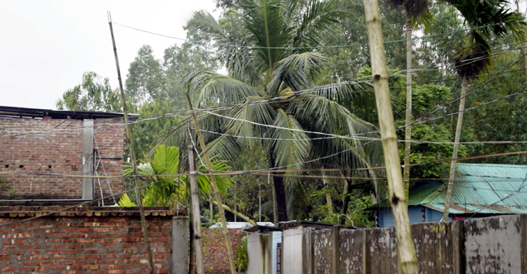 বাঁশে বাঁশে বিদ্যুৎ সংযোগ!