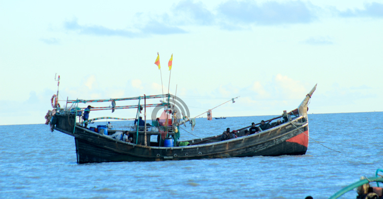 ‘ইলিশ আসবে আসবে বলে অবরোধই এসে গেলো’