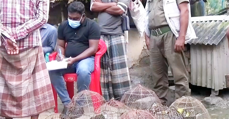 মুক্ত আকাশে উড়লো অর্ধশতাধিক পাখি