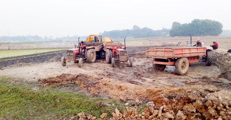 দুই নেতার পেটে যাচ্ছে কৃষি জমির মাটি