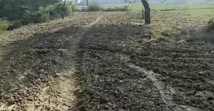 ল্যাম্পপোস্ট-গাছ নয়, পুরো দুই কিলোমিটার রাস্তা চুরি!