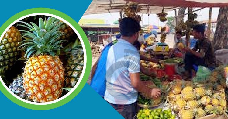 ঝালকাঠিতে আনারসের আকাশচুম্বী দাম