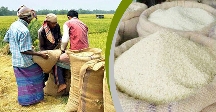 খাতা-কলম ও মাঠের চিত্রে ‘মিলছে না’ চাল উৎপাদনের হিসাব