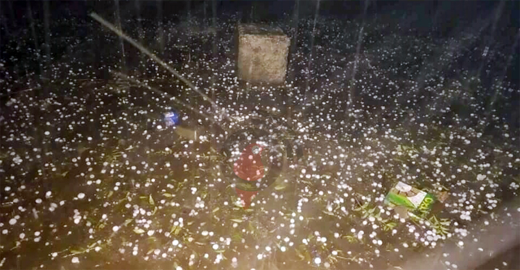 চাঁপাইনবাবগঞ্জে শিলাবৃষ্টি, আমে ব্যাপক ক্ষতির আশঙ্কা