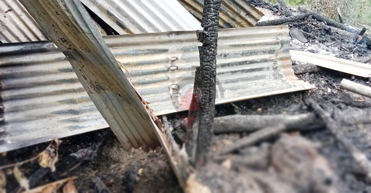 খামারে ‘দুর্বৃত্তের’ আগুন, পুড়ে ছাই হলো ১৮ ভেড়া