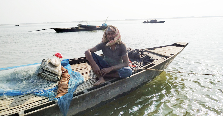 পদ্মায় দেখা মিলছে না ইলিশের, হতাশ জেলেরা