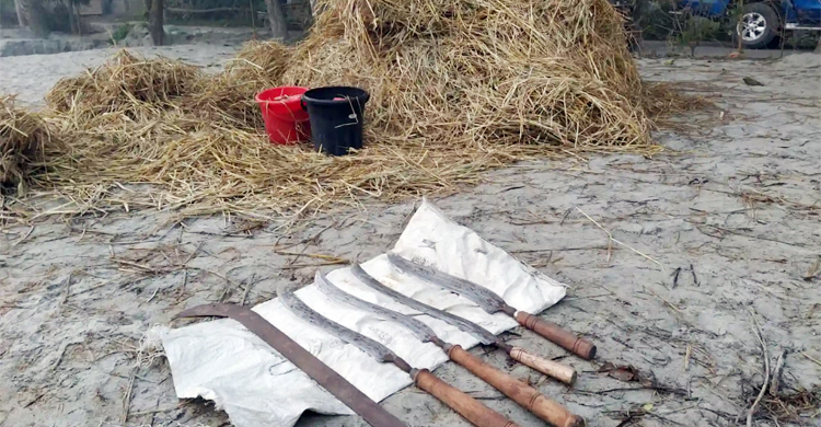 নির্বাচনে ‘নাশকতার উদ্দেশ্যে’ খড়ের নিচে রাখা ছিল ককটেল-রামদা