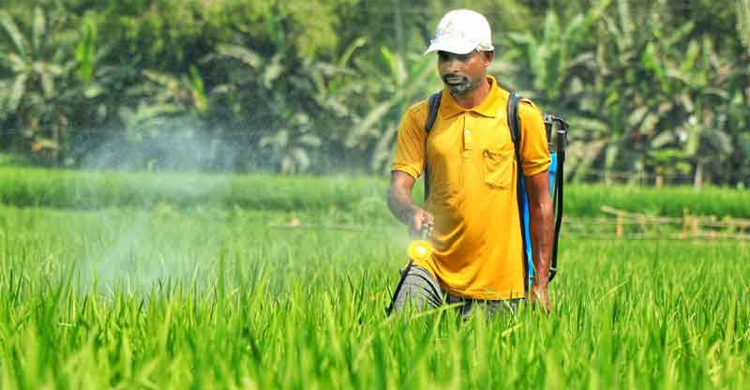 জুনের পর কার্বোফুরান গ্রুপের কীটনাশক ব্যবহার নিষিদ্ধ