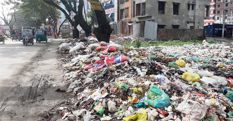 দাউদকান্দিতে সড়কের পাশে ময়লার স্তূপ, অতিষ্ট পথচারী